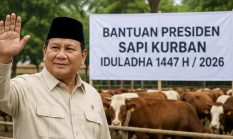 Presiden Prabowo membeli 1.098 ekor sapi untuk Idul Adha kali ini.