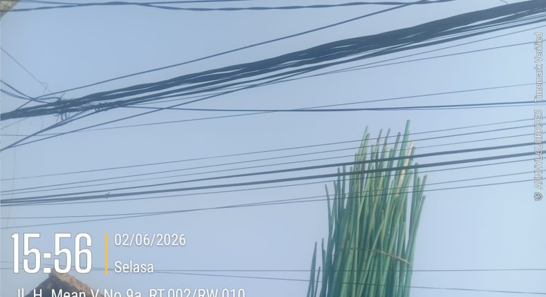 foto slider headline